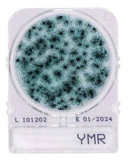 COMPACT DRY (BC) BACILUS CEREUS (4 UND PAQ)